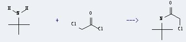 Acetamide,2-chloro-N-(1,1-dimethylethyl)- can be prepared by tert-butylamine and chloroacetyl chloride